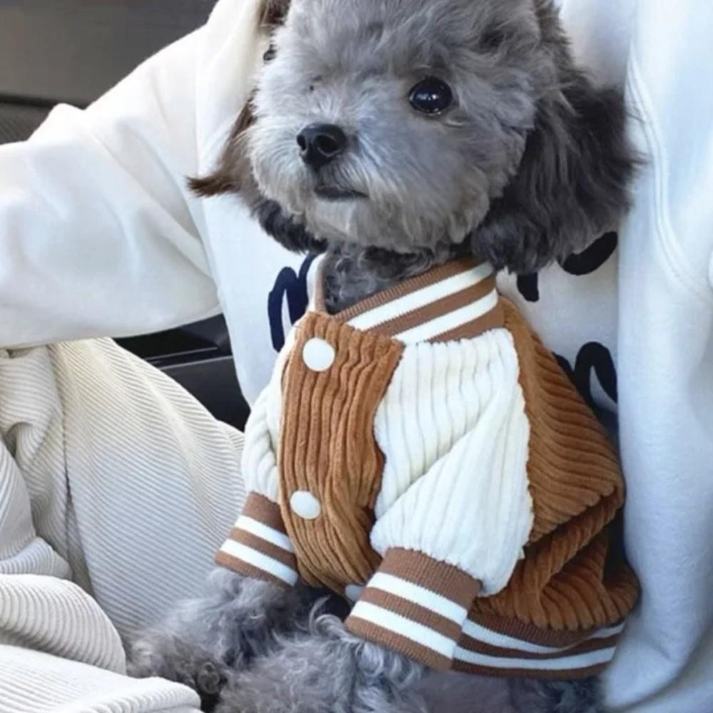 Warm Pet Baseball Jackets Fleece Puppy Spring Clothes Thickened Puppy Coat Pet Wear
