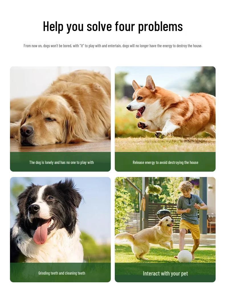 Bite-Resistant Plush Dog Toy with Sound for Small Breeds, Teething & Boredom Relief