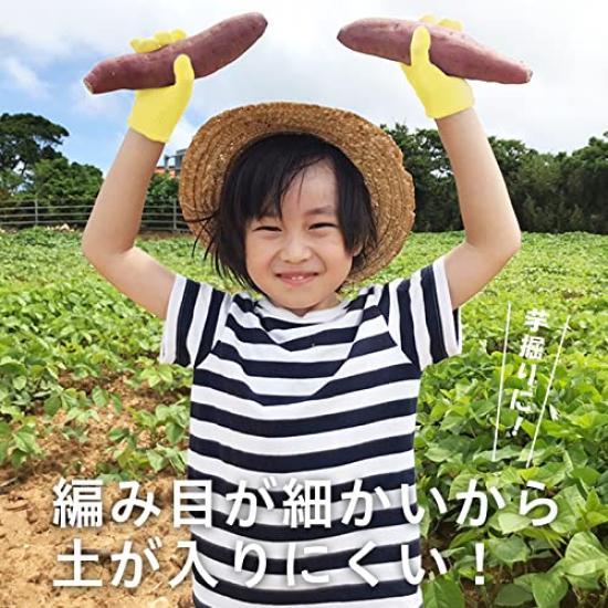 Gunte Kobo Cotton Colored Work Size S Women and Finely Comfortable Cotton Work 3 13 630 Denier In Gloves, (for Children), Thin, Knit, Gloves, Pairs,