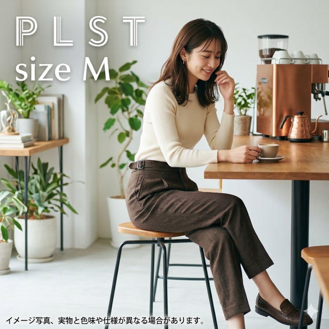 Washable Almost unused Plaste PLST Stick Pants Tapered M Brown