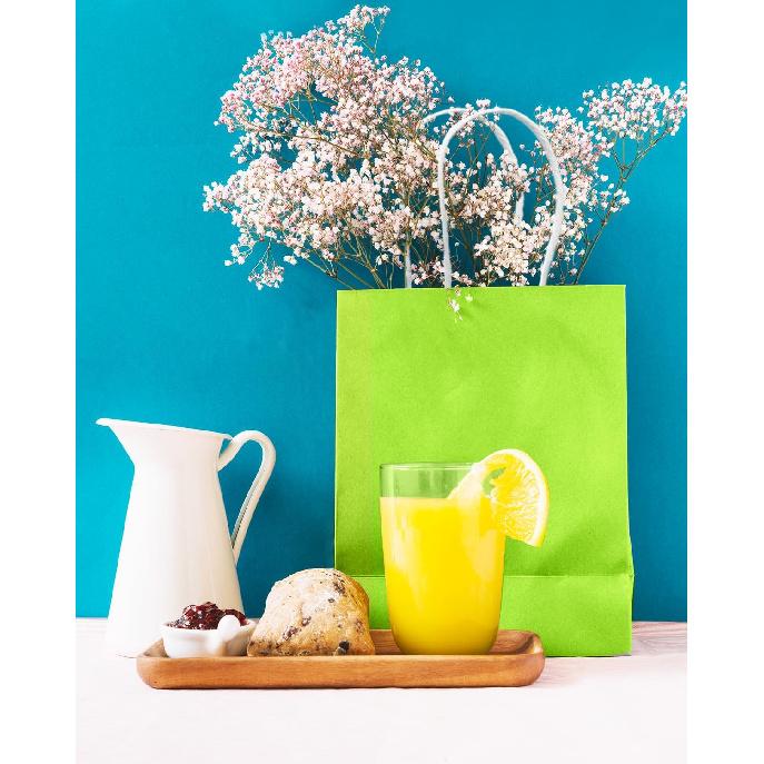 Qiqee 24 SZT. Średnia Torebka Prezentowa z Uchwytami Hurtowo 11"x5"x8" Torebki Prezentowe Śliwkowa Zielona Wiele Zastosowań (Średni rozmiar)