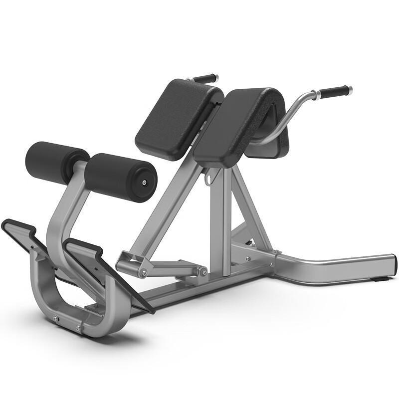 Commercial Roman Chair Integrated Trainer
