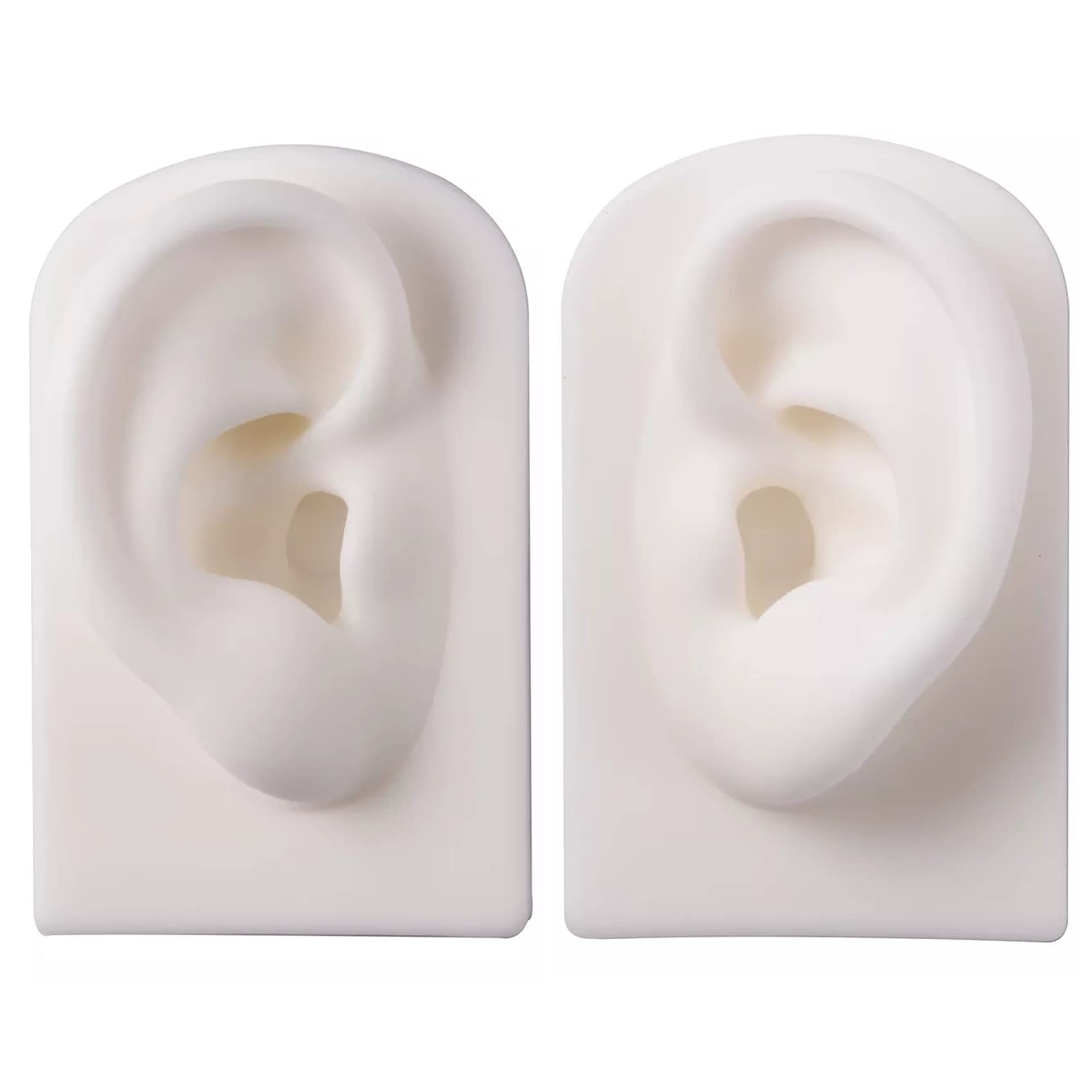 NOELAMOUR Силиконовые модели ушей, Набор из 1 шт. (Лево и право), Реалистичные модели ушей для пирсинга (белый)