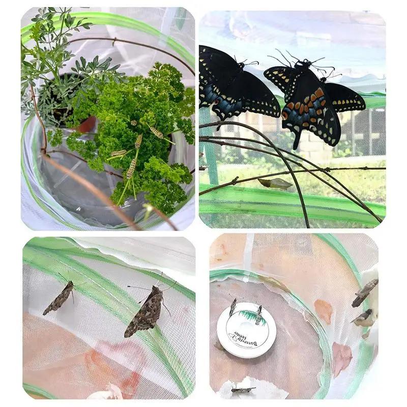 Colorful Butterfly Habitat Cage Terrarium Pop-up Clear Mesh Enclosure Butterfly Cage for Caterpillars Butterfly Habitat