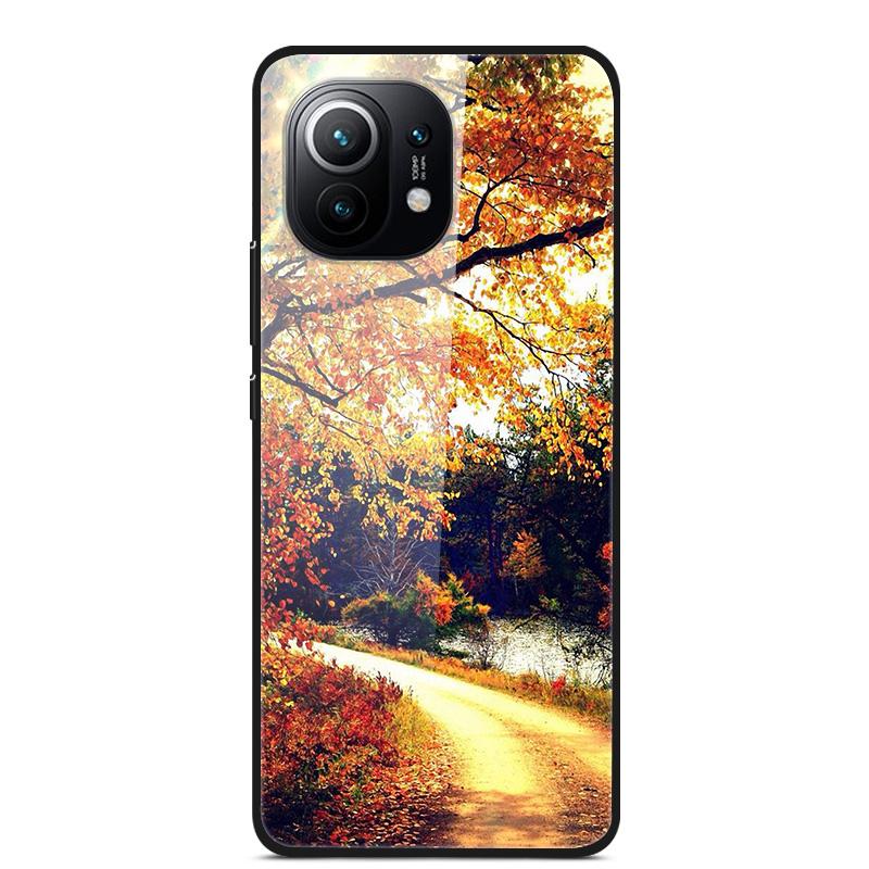 Luxury Cover Case for Xiaomi mi 11 Tempered Glass Cover for Xiaomi mi 11 Lite 5G NE Phone Case for Xiaomi Mi 11 mi11 Lite Coque
