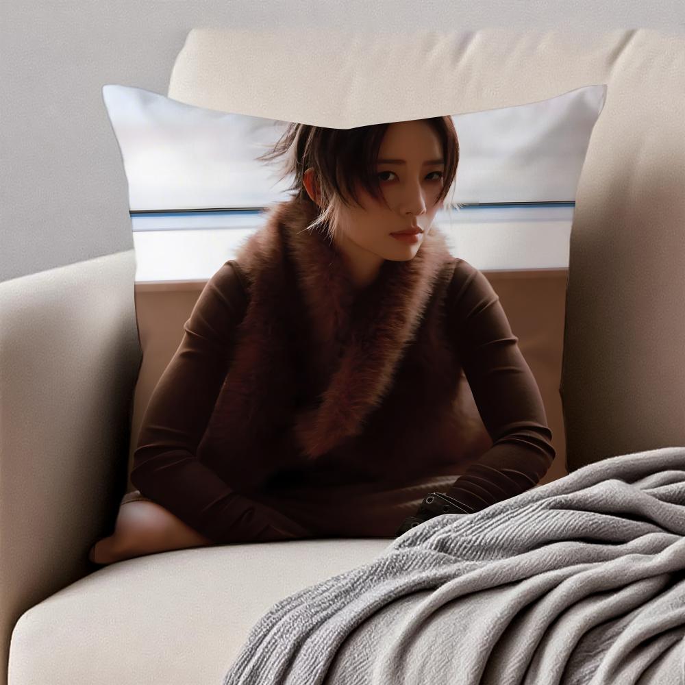Popular fashionable Chinese singer DDanyLee Cushion Cover Pillowcase Antidustmite Invisible Zipper Short Plush Sofa Cushion