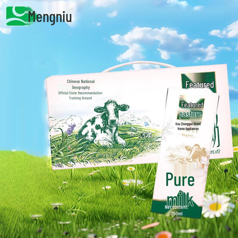 Mengniu Pure Milk