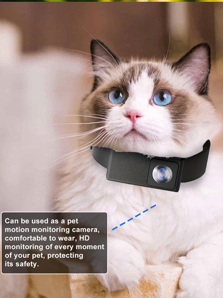 HD Pet Sports Camera with 160° Ultra-Wide Fisheye Lens & Loop Recording