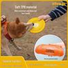 Aisenweil Professional Freestyle Puppy Training Frisbee for Border Collies