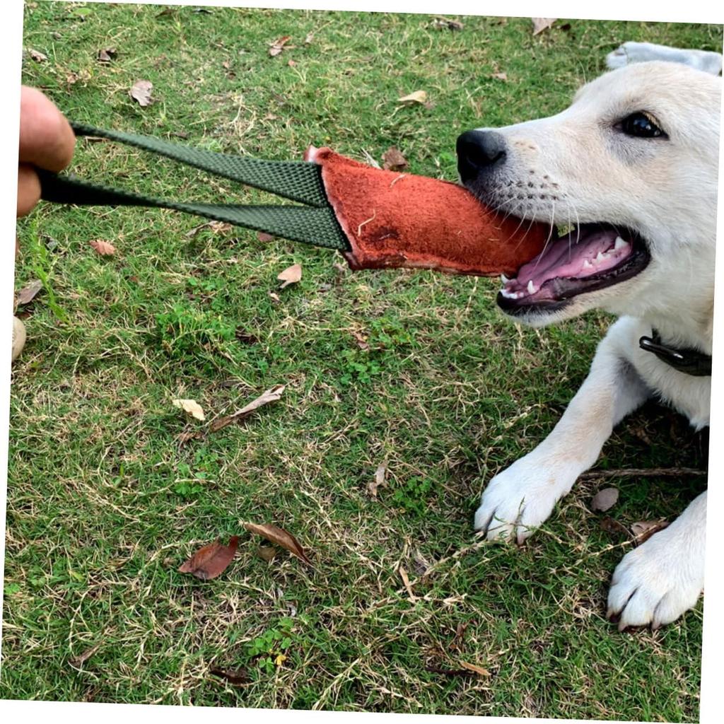 SAFIGLE Dog Bite Stick for Dog Training Hunting Outdoor Pet Difficult Dog Tug Chew Toy for Cowhide Bite-Resistant Puppies, Toy, Stick, Leather,