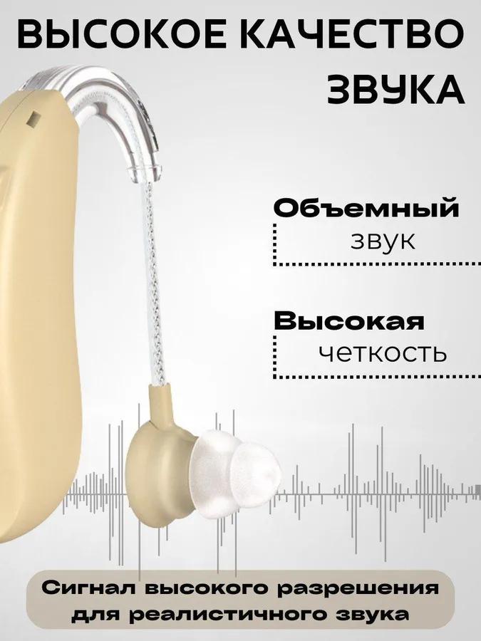 Auditory apparatus of sound amplifier for the elderly