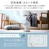Iris Ohyama Circulator Mini Fan, 8 Tatami Mats, Left and Right Swing, Quiet, 3 Levels of Air Volume Adjustment, Powerful, Downward Air Blower, Compact