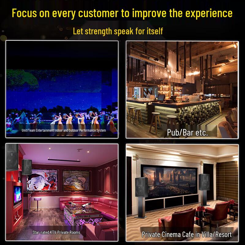 SANSUI PK12 Professional KTV Karaoke Speaker System CN Plug (adapter Included)