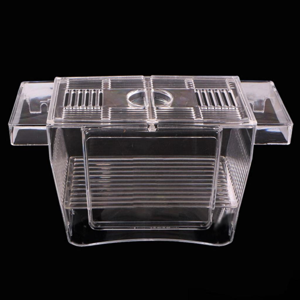 Aquarium Fish Tank Breeder Box Transparent Great Water Flow Box for Baby Fish Clownfish Guppy