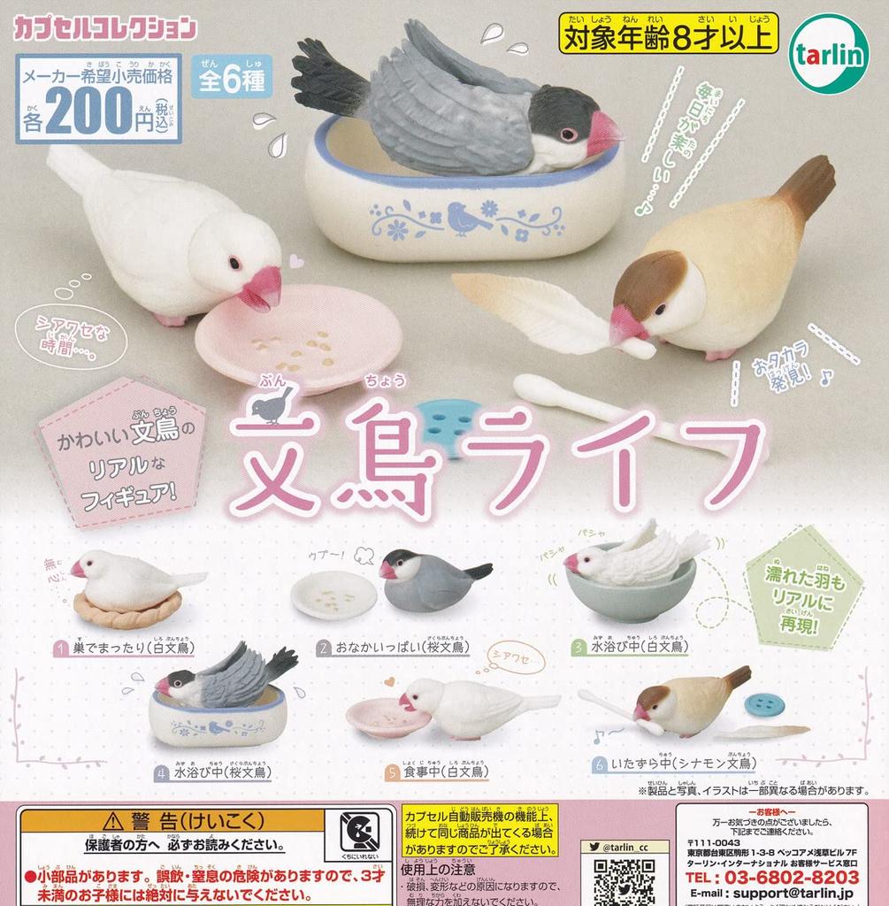 Java Sparrow Life Set of Gacha Capsule Toy [Complete 6]