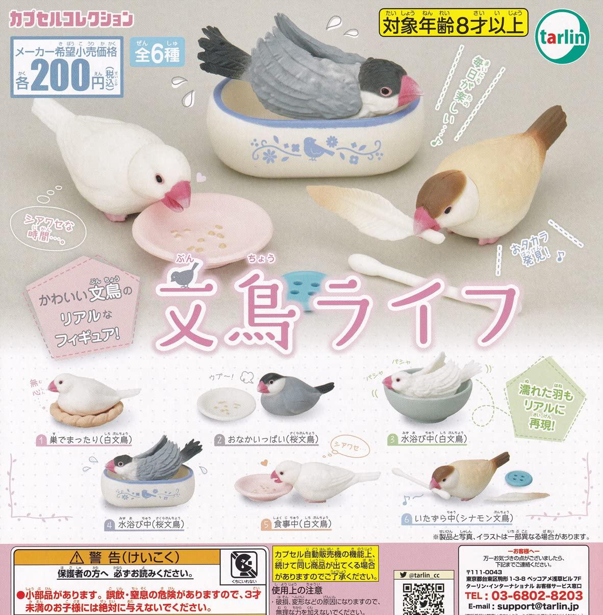 

Java Sparrow Life Set of Gacha Capsule Toy [Complete 6]