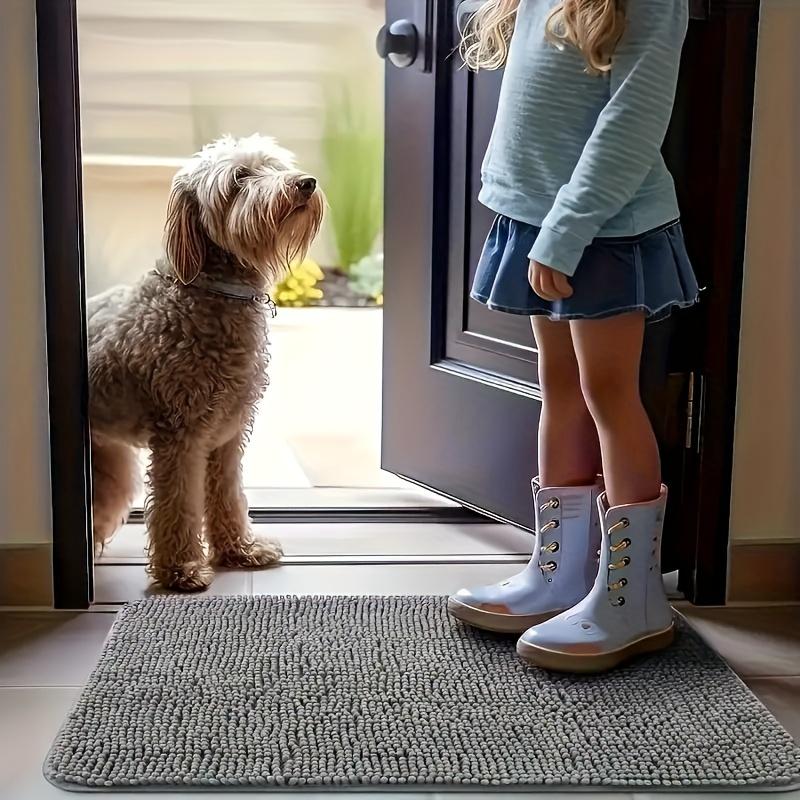 1pc Ultra-Absorbent Dog Paw Mat - Quick-Drying, Non-Slip, Washable Indoor Entryway Rug for Pet Owners, Soft Plush Fiber for Muddy Paws
