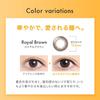 Cleo UV Ring Contact 30 Lenses Per Natural Brown Disposable Contact 1-Day Lenses, Box, (Daily Lenses) (PRW -5.50)
