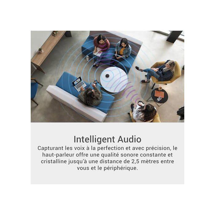 Enceinte Bluetooth Portable - Dell - SL525 - Réduction de Bruit AI - 12h Batterie - IP64