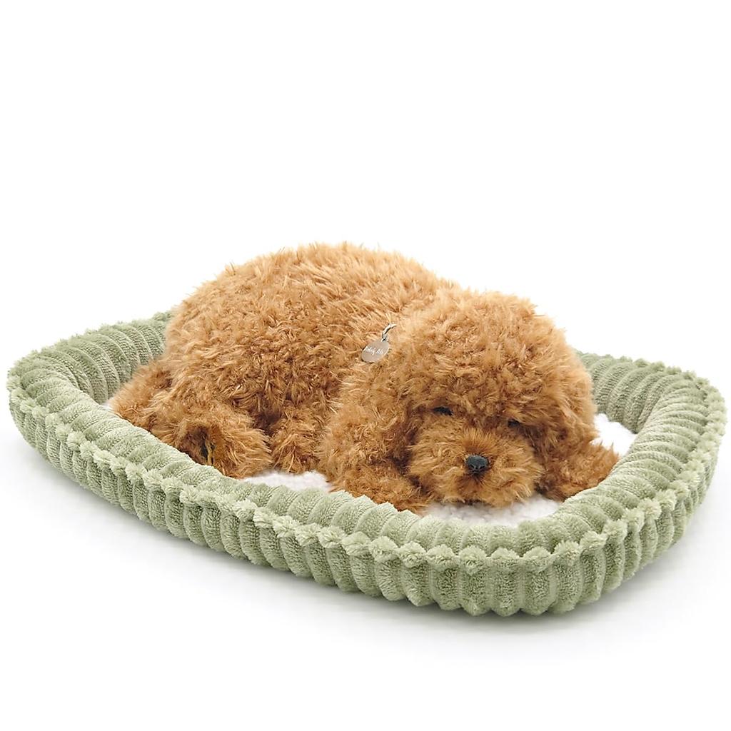 Ninian and Kino Perfect Pet (Small Size) Toy Poodle Plush Toy Dog Realistic Look-alike Goods Animal Healing Moving Present Gift Celebration Cute Dog