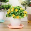 1 Pc Durable Plastic Resin Plant Saucer Drip Trays Plastic Tray Saucers Indoor Outdoor Thickened Flower Pot Garden Tool