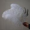 45-50cm Thick Stem, Wide Feather White (Customizable Color)