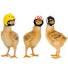 Pet Supplies Cute Fashion Protective Helmet Chicken Hat Bird Hat Head Cover
