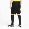 Puma Casual Soccer Breathable Elastic Waist Shorts Men shorts Black 753497-12