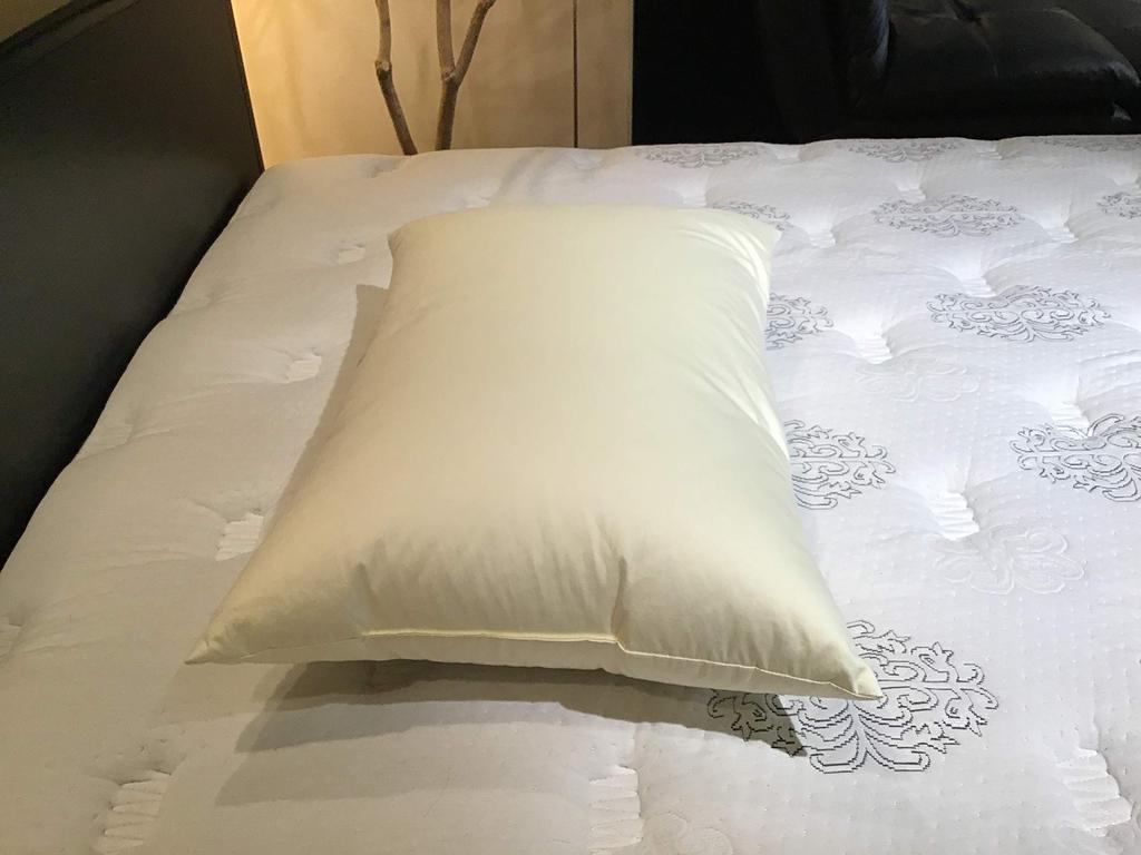 [Authentic] Sealy Down Pillow 350, White, 45cm X 65cm X 15cm, Feather DP350