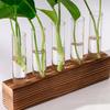 Vintage Solid Wood Base with Transparent Test Tube for Hydroponic Plants Desktop Decorative Ornament Pothos Flower Pot & Floral