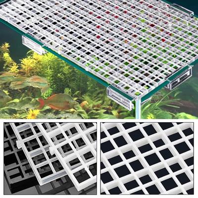 Peces y mascotas acuáticas – Mantenimiento de acuario