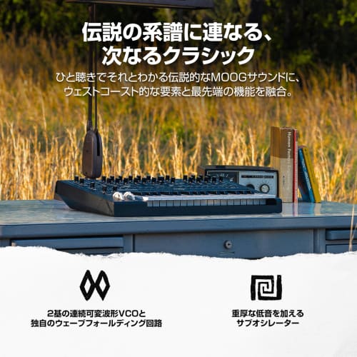 MOOG Messenger Monophonic Analog Keyboard Synthesizer with 32 Keys, 64-Step Sequencer, 256 Presets, Aftertouch, Sub-Oscillator, Ladder Filter, and Arp