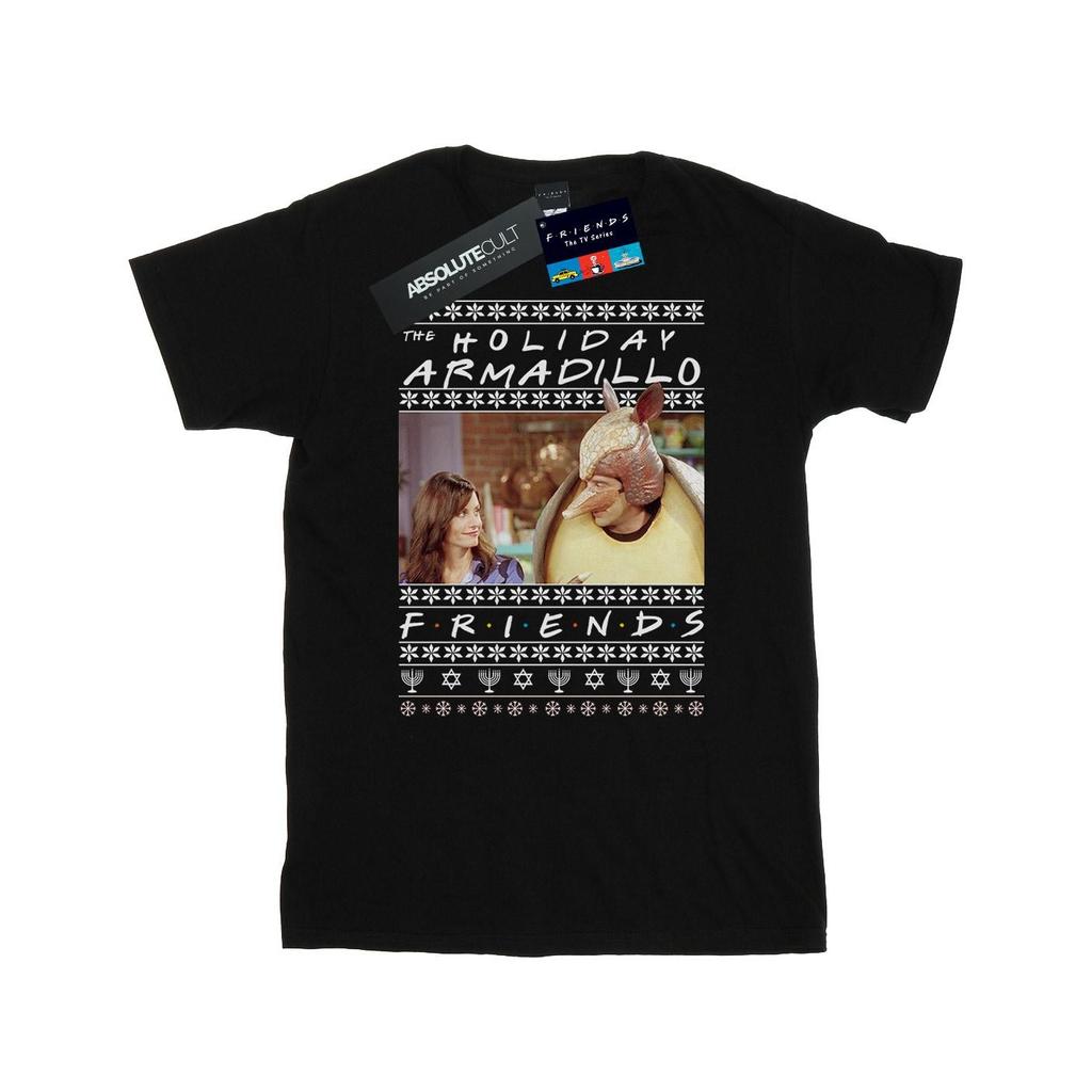 Friends Mens Fair Isle Holiday Armadillo T-Shirt