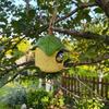 Weatherproof Hanging Leaf Bird House Waterproof Bird Shelter Creative Wild Birds Habitat  Courtyard