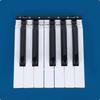 Electronic Keyboard Key Replacements Durable Plastic Piano Set for