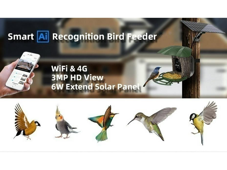 Smart Solar-Powered Bird Feeder with AI Camera & Waterproof Battery for WiFi Connectivity