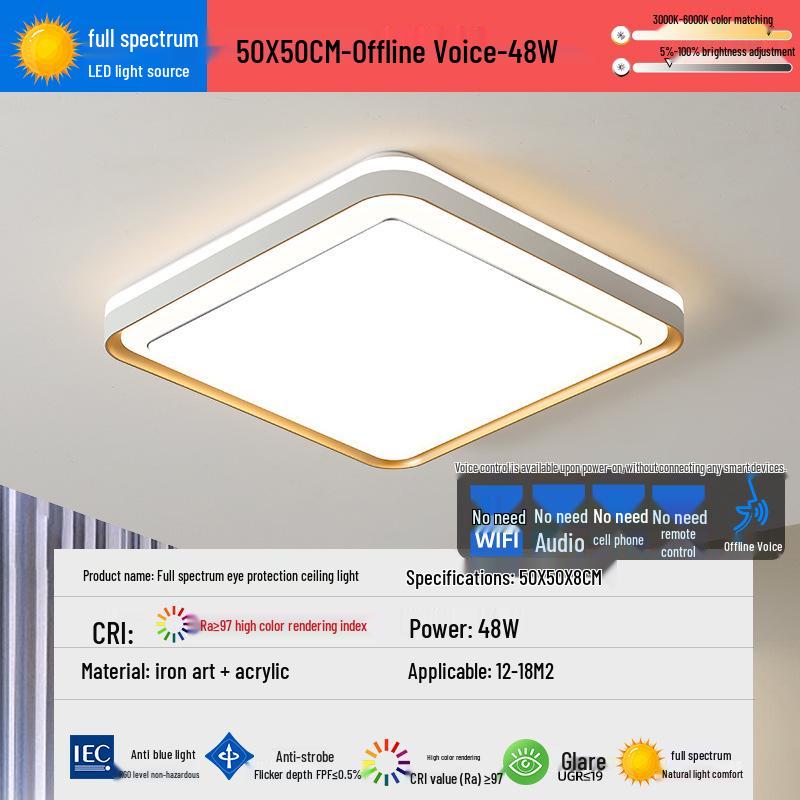 2025 LED Eye-Protecting Full Spectrum Ceiling Light for Bedroom and Living Room - Modern and Simple Design