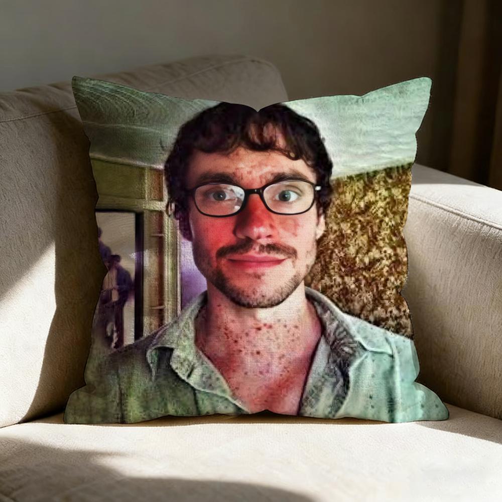 I'm Insane Will Graham Pillow Case pillowcase, double-sided printed, sofa cushion, bedroom headboard pillow