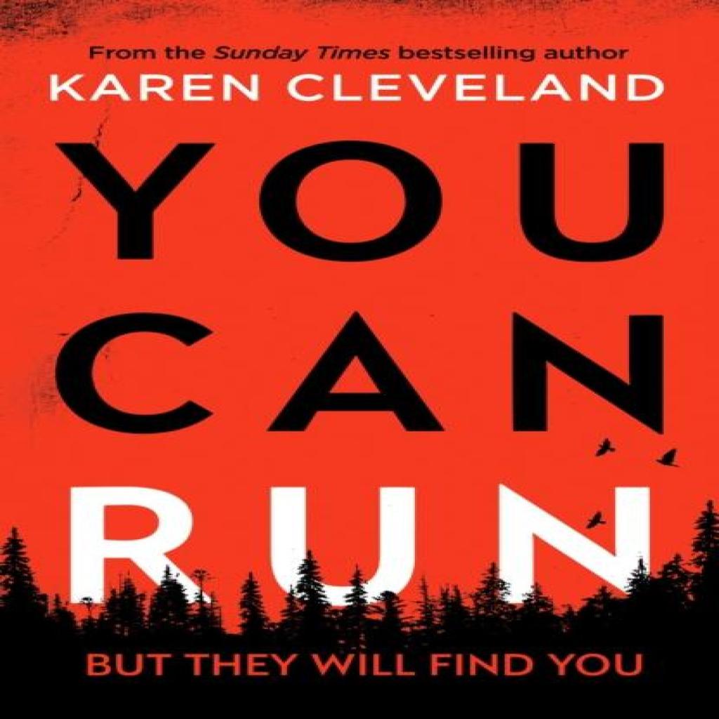 You Can Run by Karen Cleveland Paperback Book 9781800327016
