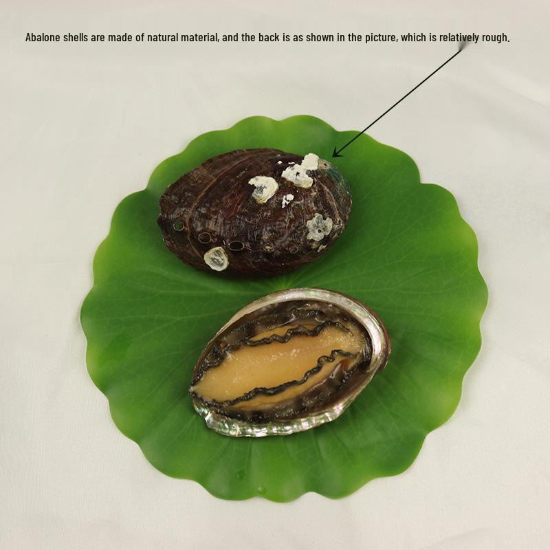 Simulated Seafood Props: Abalone, Oyster, Scallop, Sea Cucumber, Lobster, Crab with Garlic Vermicelli