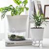 Mini Hydroponik Blumentopf Haus Vase Dekor Transparent Imitation Kunststoff Erdelose Pflanzentöpfe Grüne Pflanzen Topf Für Zuhause