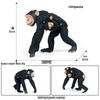 Cross-Border Animal Model: Children's Cognitive Gorilla and Monkey Ornaments