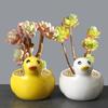 Cute Duck Flower Pot Succulent Pot Ceramics Planter Home Decor Desktop Ornaments Bonsai Plant Pot Garden Decoration