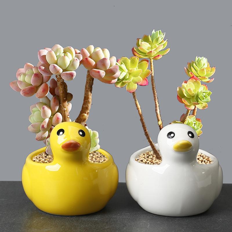 Cute Duck Flower Pot Succulent Pot Ceramics Planter Home Decor Desktop Ornaments Bonsai Plant Pot Garden Decoration