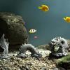 1Set Chinese Style Stone Dragon Aquarium Micro Landscape Decoration Fish Tank Ornaments Fishbowl Accessories Home Desk Ornament