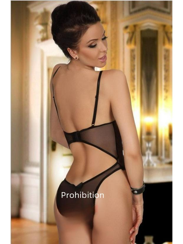 European & American Lace Mesh Camisole Bodysuit: Sexy Silver Thread Lingerie Set.