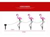 Solar Flamingo Garden Stake Light - Outdoor Decoration for Villas and Lawns
