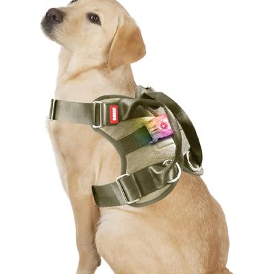 Dog Vest Harness Multifunctional No Pull No Choke Adjustable and Safe with Quick-Release Buckle and D-Ring for Medium and Large