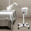 800W Professional Ozone Facial Steamer Spa Salon Face Sauna Skin Care Steam Machine Beautiful Cold Spraying Machine