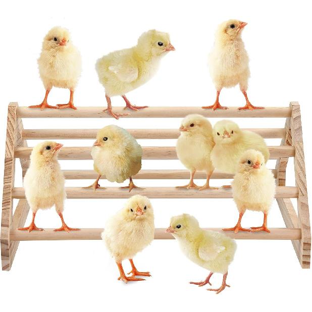 Chicken Perch Jungle Gym Roosting Bar, Pine Wood, Large